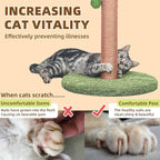 Meowoou Cat Scratching Post 33 Inch Tall Cat Scratcher for Indoor Cats Adults,Small Cat Tree Tower Sisal Rope Kitten Scratch with Interactive Hanging Ball