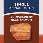 Natural Balance Limited Ingredient Grain Free Salmon & Sweet Potato Dry Dog Food, Sensitive Stomach, 12 lb (Pack of 1)