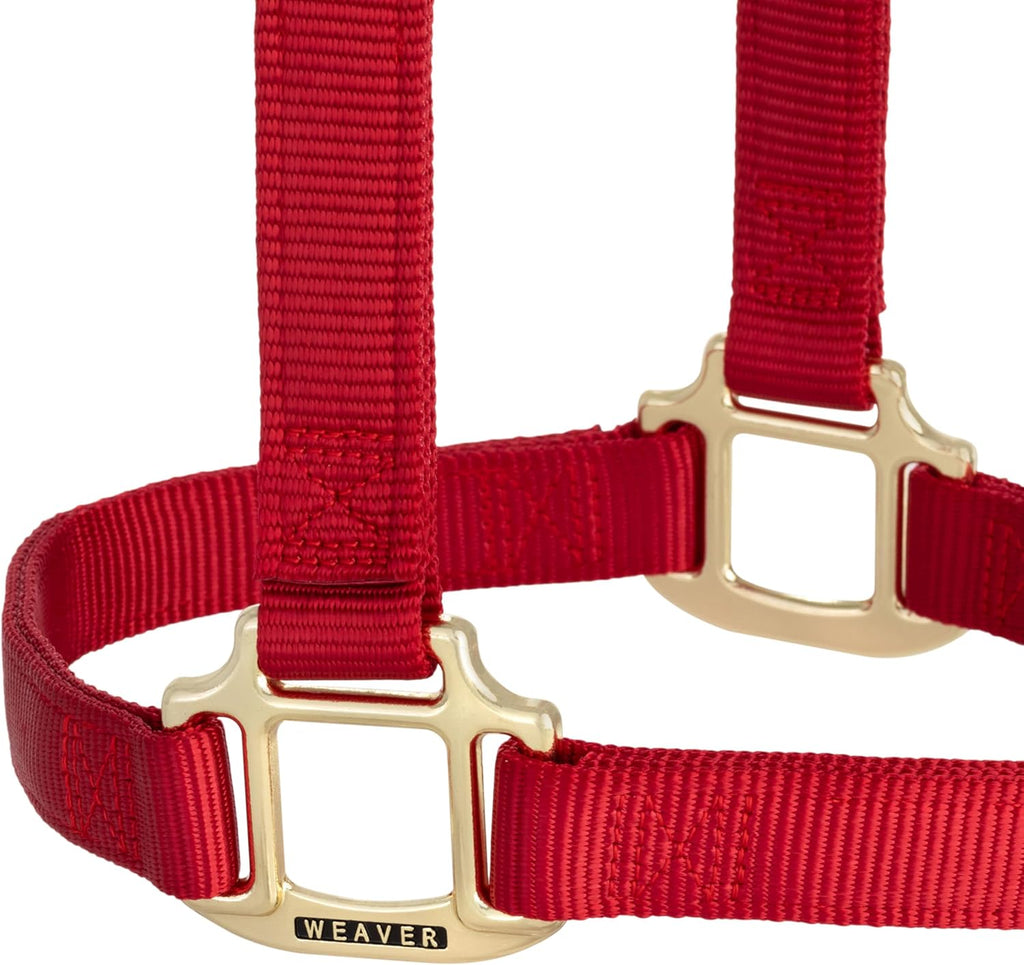 Weaver Equine Nylon Horse Halter, Triple-Ply Cheek Design, Original Non Adjustable Halters for Horses, Equine Tack,Average Size, Black