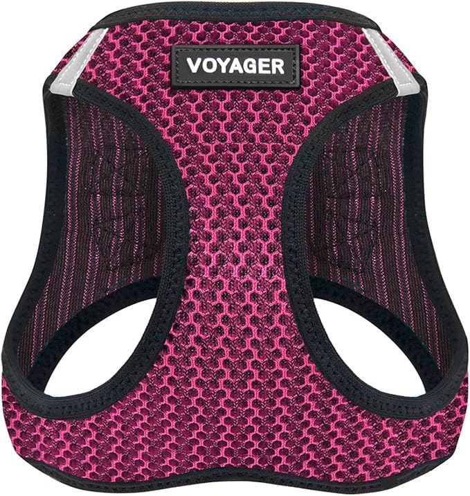 Best Pet Supplies Voyager Step-in Air Harness - All Weather Mesh, Reflective, No Pull Harness for Dogs, Cats - Secure with Hook & Loop Fastener, Buckle, Double D-Rings - Tone, S