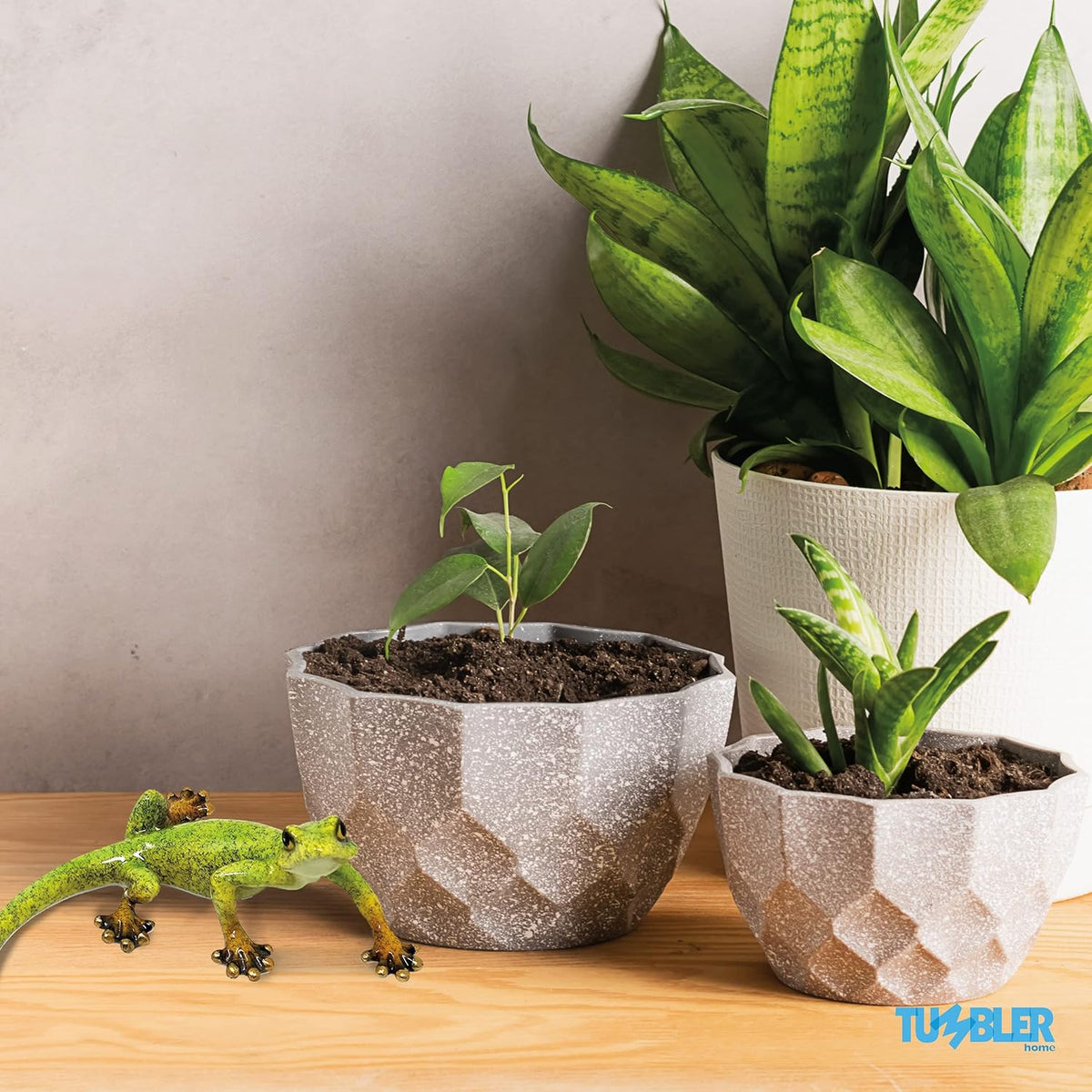 Lizard Home Decor Figurine for Desktop Decoration. Home Decor Accent for Living Room, Office, Kitchen, Bathroom or on Any Shelf in The House…