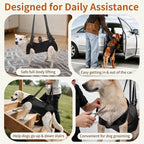 Full Body Dog Lift Harness, Support Senior & Disabled Dogs Walking | Help Up & Down Stairs Grooming, Dog Sling Backpack, Front Hind Leg Joint Injuries, Reflective, Soft Padded Handle | Black, M