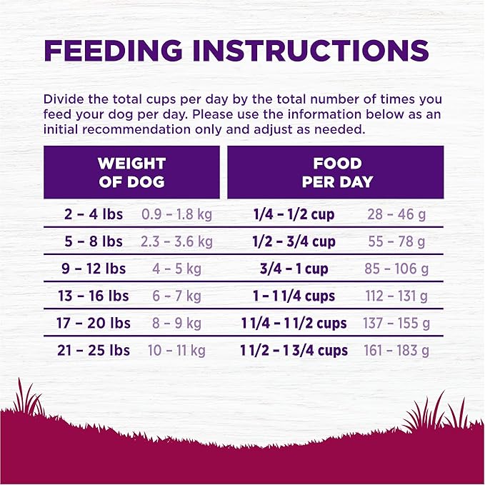 Wellness Complete Health Small Breed Adult Dry Dog Food with Grains and Real Turkey, Natural Ingredients, Omega Fatty Acids, and Probiotics, Made in USA (12-Pound Bag)”