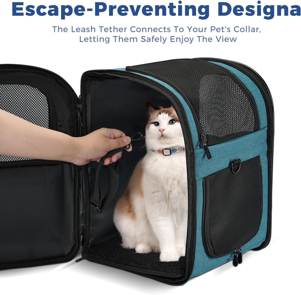 Apollo Walker Dog & Cat Carrier Backpack for 4-15lb Pets - Ventilated Safe Design with Padded Back Support, Breathable Mesh Pet Backpack for Hiking, Travel, Outdoor (Teal)