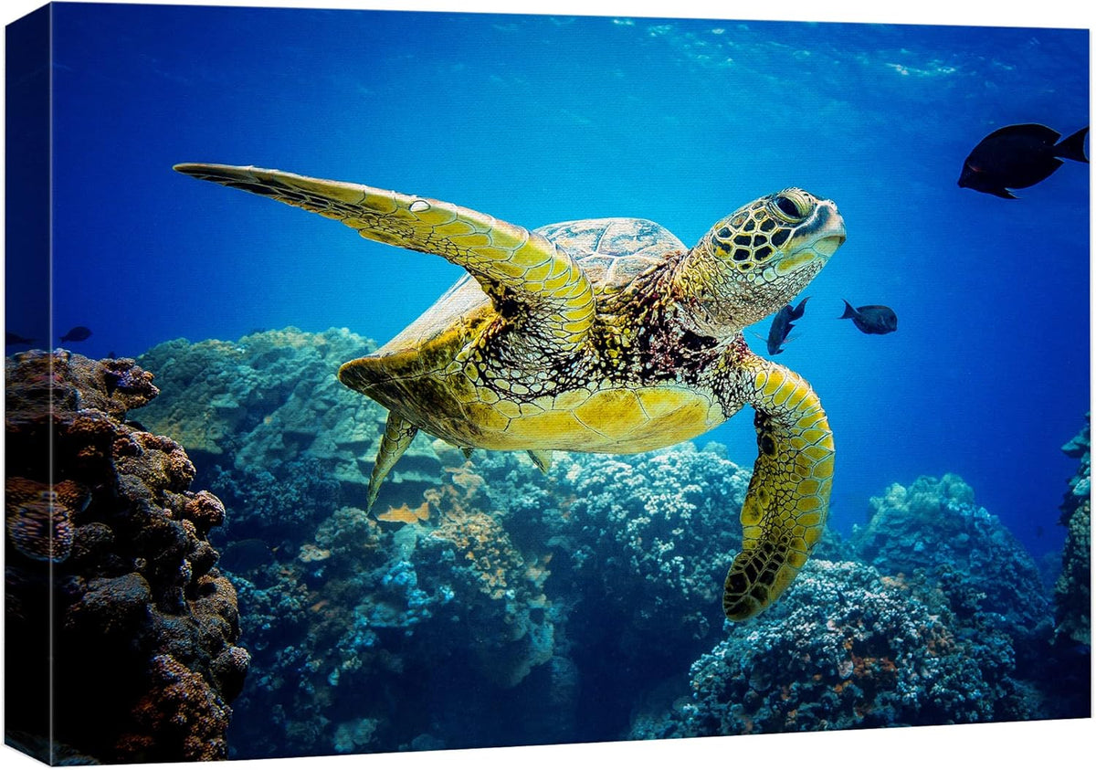 wall26 Canvas Print Wall Art Vibrant Ocean Underwater Swimming Turtle Nature Animals Photography Realism Rustic Scenic Landscape Wilderness Earth Colorful for Living Room, Bedroom, Office - 24"x36"