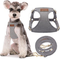 Puppytie No Pull Small Dog Harness with Multifunction Dog Leash,Lightweight Soft Adjustable No Choke Escape Proof Pet Harness Vest Pet Harness Vest,Silver Grey,S