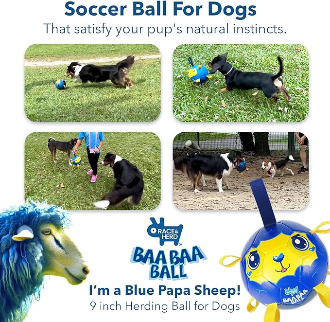 Race&Herd 9" Jolly Soccer Ball for Dogs - Tough Durable Dog Ball Toy with Straps, Pet Bouncy Herding Balls for Dogs, Floating Dog Balls with Tags for Water Fetch (BaaBaaBall, Daddy Sheep)