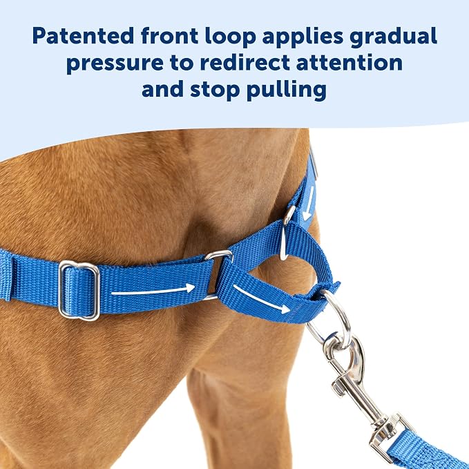 PetSafe Easy Walk Harness for Dogs - Pull-Free Walks - Patented Martingale Loop Design - Front Chest Leash Attachment - Comfort Straps - Breathable Harness Design - Medium, Charcoal/Black (Pack of 3)