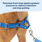 PetSafe Easy Walk Harness for Dogs - Pull-Free Walks - Patented Martingale LoopDesign-Front Chest Leash Attachment - Comfort Straps-Breathable Harness Design-Small,Charcoal/Black (Pack of 3)