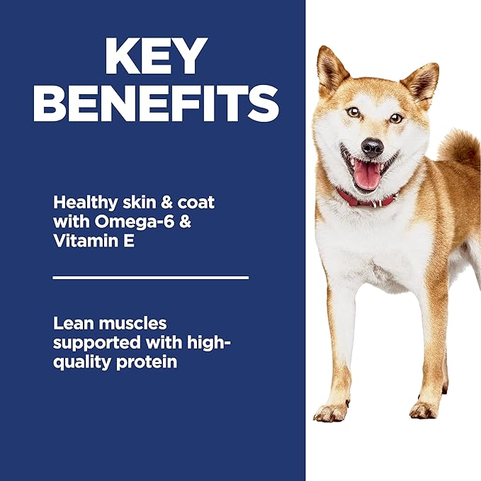 Hill's Science Diet Adult 1-6, Adult 1-6 Premium Nutrition, Dry Dog Food, No Corn, Wheat, Soy Chicken & Brown Rice, 4 lb Bag