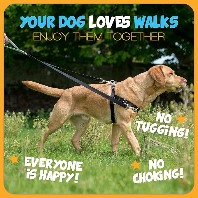 2 Hounds Design Freedom No Pull Dog Harness and Leash, 5/8" MD, Raspberry | Promotes Easy Walking & Comfortable Control, Secure Fit, Adjustable Harness and Leash Set for Medium Sized Dogs, Made in USA