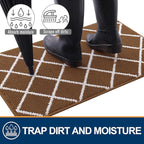 Finchitty Indoor Door Mat, Dirt Resistant and Absorbent, Low-Profile, Non-Slip, Washable Inside Floor Mats for Front Door, Back, and Entrance, 59" x 35", Coffee