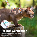 Dooradar Cat Harness and Leash, Escape Proof Adjustable Kitten Vest, Lightweight Soft Pet Straps, Easy Wearing for Small Medium Kitty Safe Walking Travel Control, Rainbow, M