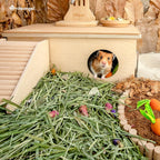 Niteangel Natural & Soft Hamster Bedding Mate Small Animal Habitat Decor for Syrian Dwarf Hamsters Gerbils Mice Degus Bunny or Other Small-Sized Pet
