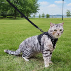 Cat Harness and Leash Set Escape Proof Tactical Extra Large Kitten Harness Emotional Support Cat Vest, Black, XXL