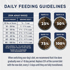 Natural Balance Specialized Nutrition Dry Dog Food with Salmon and Oatmeal for Dogs, Sensitive Skin & Stomach Dog Food, Natural Ingredients with Added Vitamins & Minerals - 22 lbs