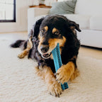 Playology Dog Toys | Dental Chew Stick Gentle on Gums | Jumbo Peanut Butter Scented Toy - Easy to Clean and Made from Non Toxic Materials