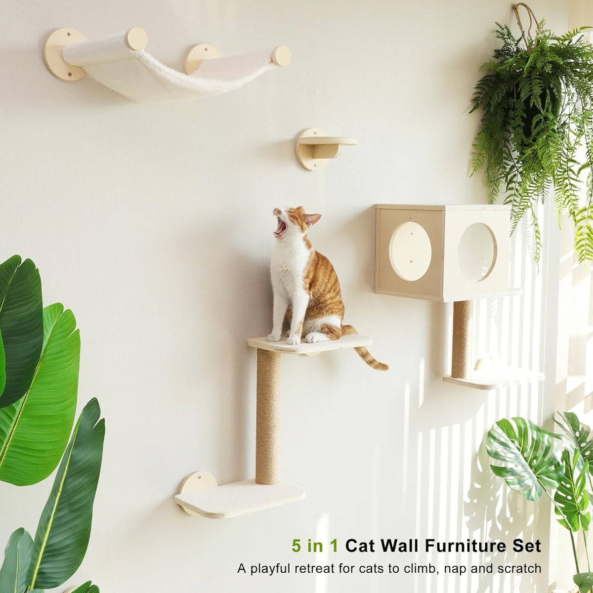 FUKUMARU Cat Wall Shelves, 5-Piece Stable Wooden Wall-Mounted Furniture Set, Kitty Climber with Hammock, House, Steps, Scratching Post (Beige)