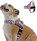 Dog Friendly Co. Dog Harness for Small Dogs (Pink Camo, XXSmall) | One Click Buckle, Chafe Resistant Webbing, Adjustable Neck & Chest, and Heavy Duty D-Ring, Sturdy Comfortable and Easy to Use