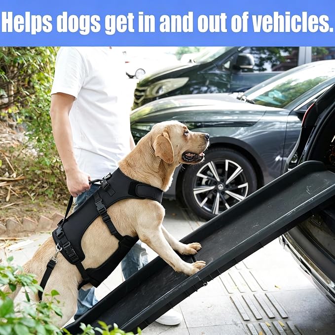 COODEO Dog Lift Harness for Large Dogs, Full Body Support Mobility Aid for Senior Dogs, Adjustable Help for Weak Hind Legs, Arthritis, Stairs & Cars(Black,S)