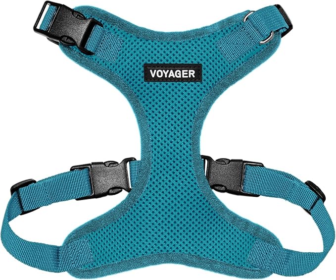 Voyager Step-in Pet Harness - All Weather Mesh, Adjustable Step in Harness for Cats and Dogs by Best Pet Supplies - Turquoise, L