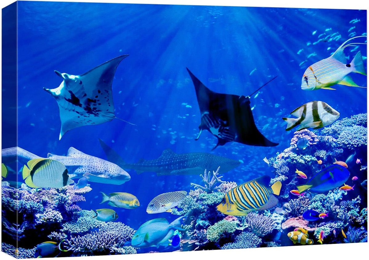 wall26 Canvas Print Wall Art Vibrant Sunlight Ray Ocean Shark Fish Reef Nature Animals Photography Realism Rustic Scenic Landscape Wilderness Earth for Living Room, Bedroom, Office - 32"x48"
