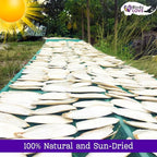 Birds LOVE 3.5-4″ Cuttlebone for Birds – 100% Natural Sun-Dried Calcium & Beak Conditioning Supplement for Parakeets, Budgies, Cockatiels, Finches & Canaries – 4 Pack with Holder – Made in Vietnam