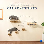 Space-Saving Cat Wall Shelves – Interactive Cat Wall Climber with Hammock & Dog Proof Feeding Station for Small & Medium Indoor Breeds – Solid Natural Wood with Beige Carpet