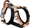 MADE TO ROAM Premium Explorer Harness - Y-Shaped Dog Harness with Adjustable Durable Nylon, Soft Padding, Metal Buckles and Leather Handle for Small, Medium, Large Dogs (Carolina Blooms, Size 6)