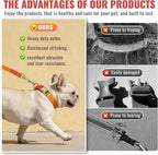 Dog Collar and Leash Set with Metal Quick Release Buckle, Adjustable, Breathable Nylon, Durable, Soft and Comfortable, No Pull for Walking and Training, Orange, M (12.5"-19.6")