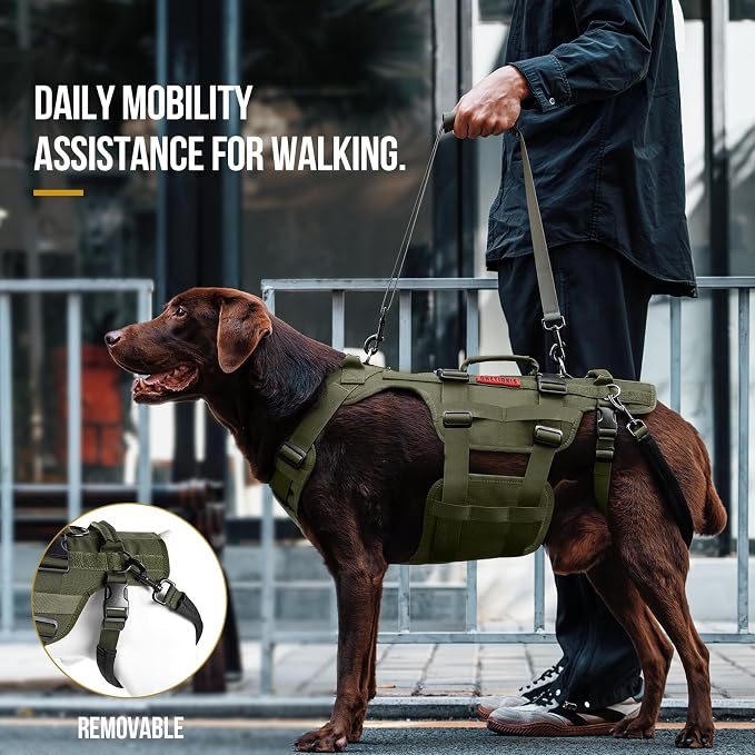 OneTigris Dog Lift Harness for Large Dogs, Dog Hip Support Brace, Full Body Lifter with Handles Invictus Multifunctional Mobility Assistance Vest for Back Legs (Green, Medium)