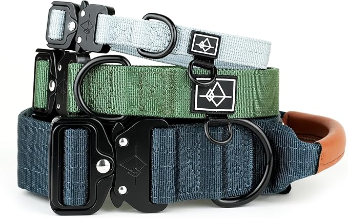 Made to ROAM Premium Explorer Control Collar - Adjustable Heavy Duty Nylon Dog Collar with Quick-Release Metal Buckle and Handle (Washington Rain, Control Size 5)