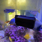 Mag-Float Medium Black Stealth Glass Magnet Aquarium Scraper Cleaner with Blade - Floating Magfloat Magnetic Cleaning Tool