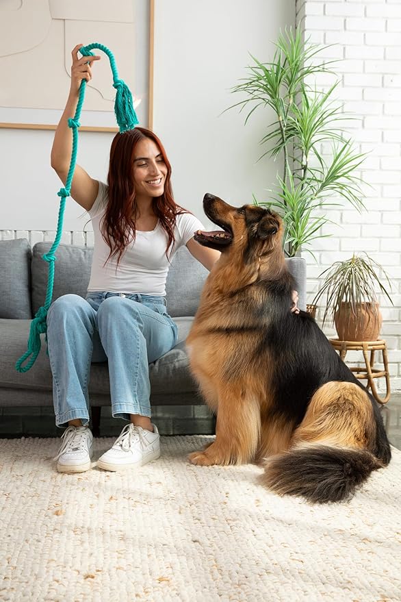 Tumbo Tough Tug Rope Dog Toy - (5 ft Long Strong and Durable Rope Pull Toy with Handle) TUG of WAR Dog Toy (Bahama Blue)
