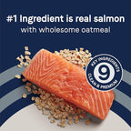 CANIDAE Pure Limited Ingredient Premium Puppy Dry Dog Food, Real Salmon & Oatmeal Recipe, 4 lbs, with Wholesome Grains