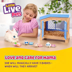Little Live Pets Bunny Mama Surprise Toy Set, Hutch Interactive Animal Playset with 3 Surprise Babies, 20+ Sounds, Bunny Accessories for Girls Ages 3+