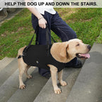 Coodeo Dog Lift Harness, Pet Support & Rehabilitation Sling Lift Adjustable Padded Breathable Straps for Old, Disabled, Joint Injuries, Arthritis, Loss of Stability Dogs Walk (Black, M)