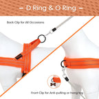 Didog No Pull Dog Harness with Soft Mesh Padded,Reflective & Quick Fit Light Weight Dog Strap Vest Harness,Easy for Walking Training (M:Chest 21-26", Orange)