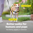 PetSafe Easy Walk Harness, No Pull Dog Harness, Black, Petite | Patented Martingale Loop Gives Gradual Shoulder Pressure to Stop Pulling, Front-Chest Leash Clip Prevents Gagging
