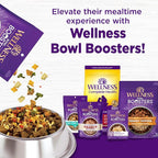 Wellness Complete Health Dry Puppy Food, Chicken, Salmon & Oatmeal, 5-Pound Bag