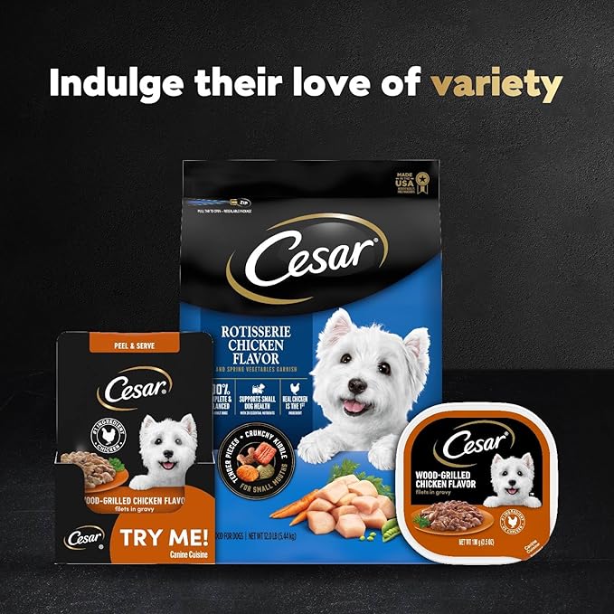 Cesar Filets in Gravy Wet Dog Food Wood-Grilled Chicken Flavor, 1.76 oz. Mini-Pouch (20 Count, Pack of 1)