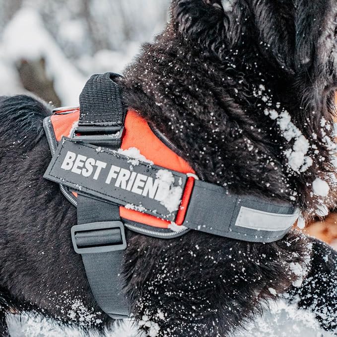 Personalized Dog Harness with Custom Name Patches, Adjustable Reflective No Choke Dog Vest with Handle for Extra Large Dog, Blue, XL