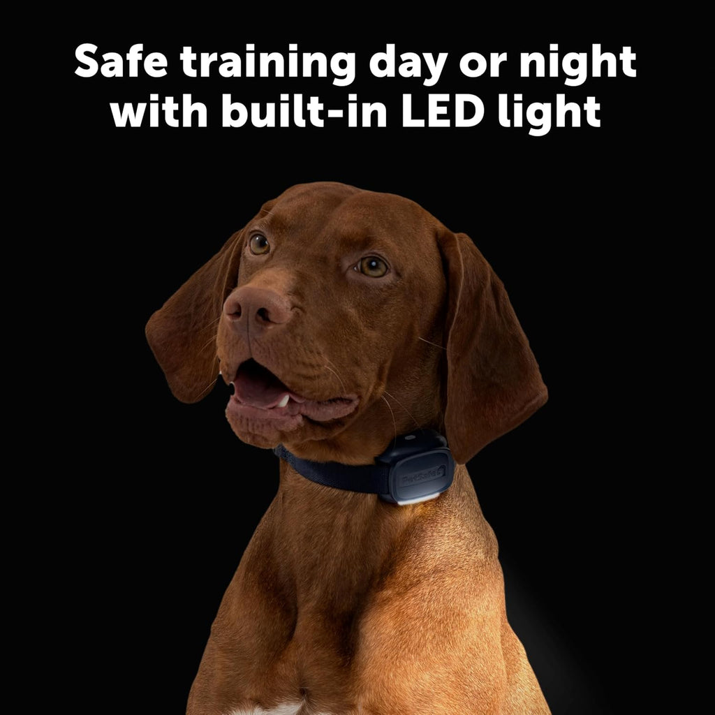 PetSafe Core Dog Trainer with Remote – Waterproof Training Collar – 1000 Foot Range – Tone, Vibration and 15 Levels of Static