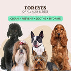 Natural Dog Company XL Grooming Wipes for Dogs – Hypoallergenic, Biodegradable, Fragrance Free – Aloe Vera & Witch Hazel – Large 7×8 in Wipes for Paws, Face, Ears & Butt – 200 Count Sensitive Skin