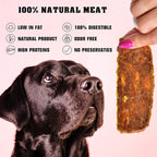 Chicken Jerky Dog Treats 1.5 Lb - Human Grade Pet Snacks & Grain Free Meat - All Natural High Protein Dried Strips - Best Chews for Training Small & Large Dogs - Bulk Soft Pack Made for USA