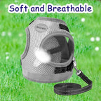 Cat Harness and Leash for Walking, Kitten Escape Proof Harnesses, Adjustable Reflective Puppy Harness with Leashes Set, Easy Adjustable Soft net Breathable Pet Safety Vest XS (Chest: 6" - 8") Grey