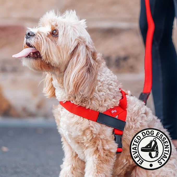 Dog Friendly Co. Dog Harness for Small Dogs (Red, Extra Small) | One Click Buckle, Chafe Resistant Webbing, Adjustable Neck & Chest, and Heavy Duty D-Ring, Sturdy Comfortable and Easy to Use