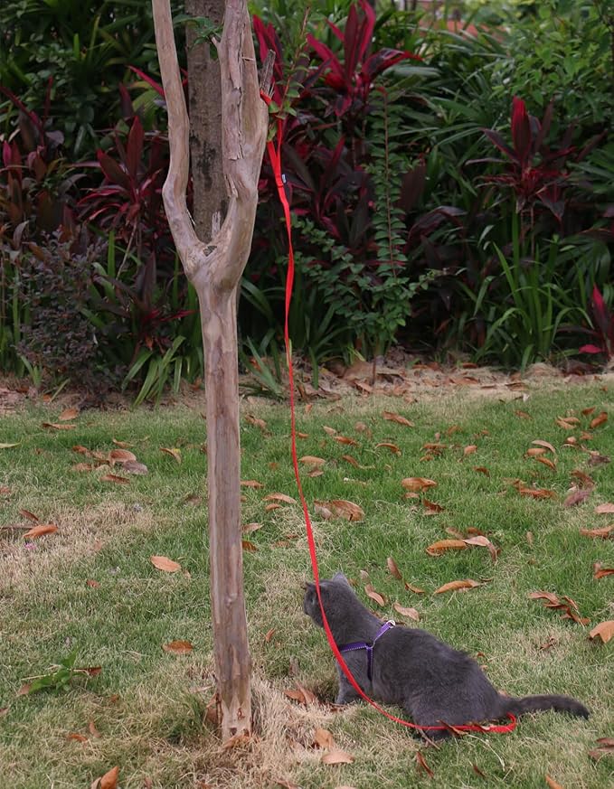 AMAGOOD 6 FT Cat Leash, Strong and Durable Traditional Style Leash with Easy to Use Collar Hook,Cat Lead Great for Cats (3/8 in x 6 ft,Black and Red(2-Pack))