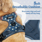rabbitgoo Dog Harness No Pull with 2 Leash Clips, Adjustable Soft Padded, Reflective Oxford No Choke Pet Vest with Easy Control Handle for Large Dogs, Blue Star, S