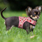 Mile High Life Dog Harness, Air Mesh Floral Vest Harness for 20 lbs Small Dogs & Cats, Easy Get on Adjustable Easy Closures Both Neck and Chest(Lily, S Chest 16"-18")